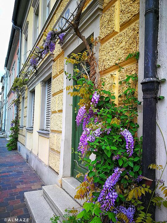 Die schönsten Frühlingsfotos aus Bamberg und Umgebung
