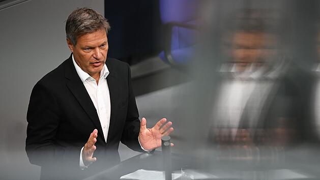 Ex-Wirtschaftsminister Habeck verlässt den Bundestag