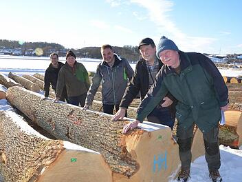 Mit über 1000 Euro je Festmeter wurde diese Eiche zur "Braut" der Submission der WBV Coburger Land. Der Preis freut (von links): Ralf Keller, Manfred Herter, Wolfgang Schultheiß von der WBV sowie Herrmann Wüst und Dietmar Westhäuser von der Korporation Roßfeld. Foto: Rainer Lutz