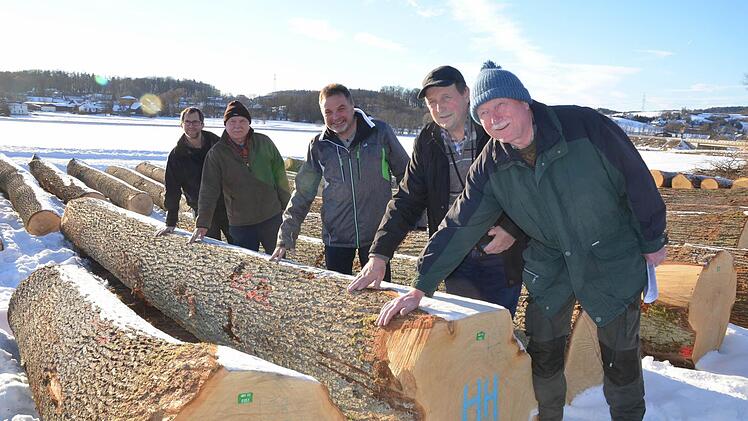 Mit über 1000 Euro je Festmeter wurde diese Eiche zur "Braut" der Submission der WBV Coburger Land. Der Preis freut (von links): Ralf Keller, Manfred Herter, Wolfgang Schultheiß von der WBV sowie Herrmann Wüst und Dietmar Westhäuser von der Korporation Roßfeld. Foto: Rainer Lutz