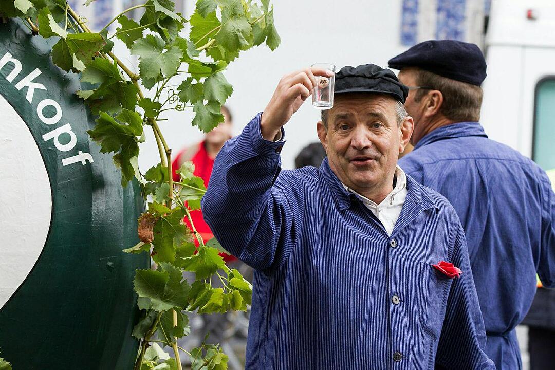 Wiesn-einzug der Winzer