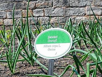07_bamberg_gaertnermuseum_1