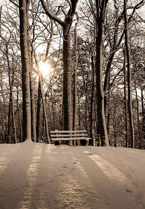 Schnee und Eis - Die schönsten Aufnahmen aus Franken