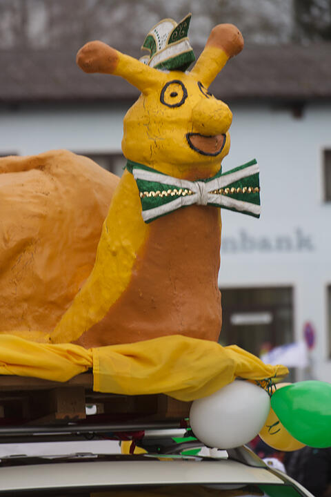 Endlich wieder Faschingsumzüge!