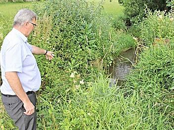 An dieser Stelle, so Bürgermeister Helmut Dietz, soll oberhalb des Mühlsees in Richtung Obermerzbach ein Fisch- und Amphibienpass entstehen, der es den Tieren ermöglicht sowohl bachab- als auch bachaufwärts zu kommen. Foto: Helmut Will