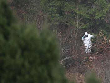 Leichenfund in Wald bei Illertissen