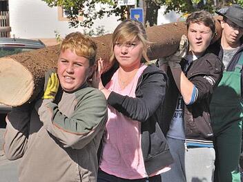 Die Kerwafichte wird wie in jedem Jahr aufgestellt. Hier ein Bild von 2013 Foto: Archiv/privat