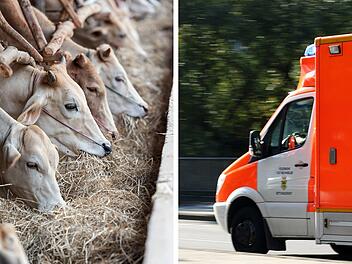 Oberbayern: Landwirt (68) stürzt in Futtermischanlage - tot geborgen Oberbayern: Landwirt (68) stürzt in Futtermischanlage - tot geborgen