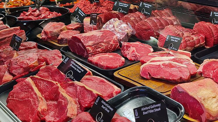 Fleischtheke mit Gallowey-Fleisch im Farmshop in Kilnford