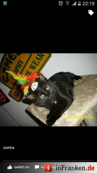 Foto: Sandra Scherbel