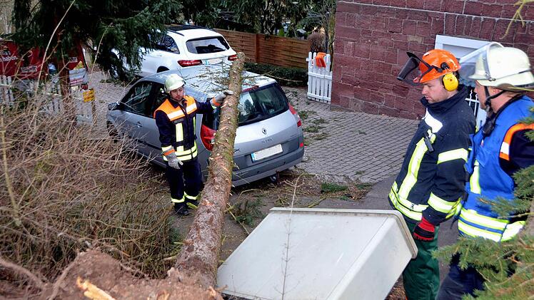 In der Bad Kissinger Schönbornstraße beschädigte ein umfallender Baum einen Stromkasten. Foto: Peter Rauch