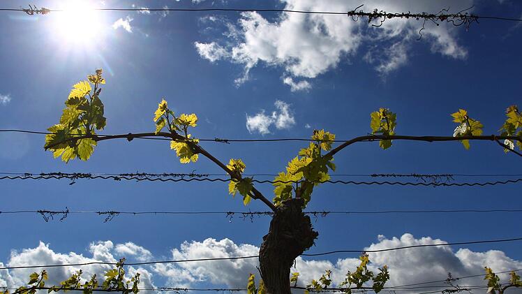 Die Warmfront rollt &uuml;ber Franken: Nachdem es am Donnerstag noch einmal recht nass werden soll,  sagen die Meteorologen ein fr&uuml;hlingshaftes Wochenende voraus.  Symbolbild: Karl-Josef Hildenbrand/dpa