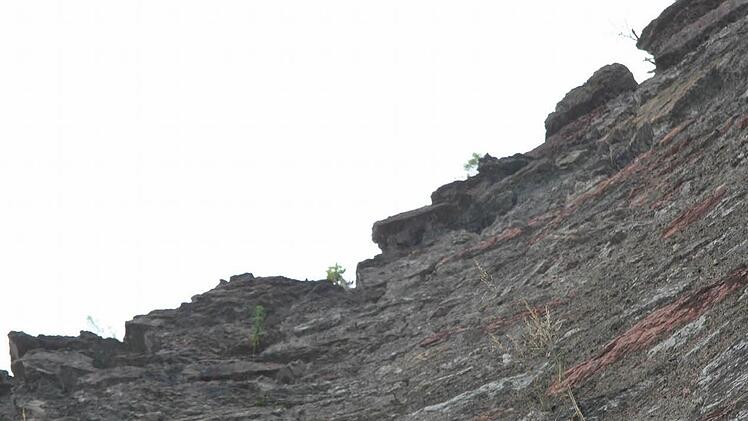 Die Mauerkrone muss komplett abgetragen, von Bewuchs und Wurzelwerk befreit und wieder neue aufgemauert werden.
