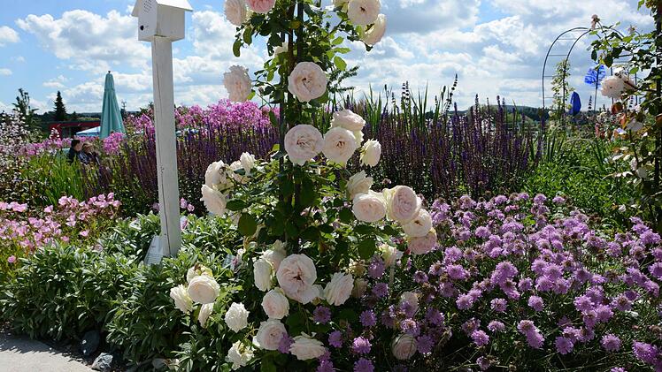 Impressionen von der Landesgartenschau in Bayreuth Foto: Dagmar Besand