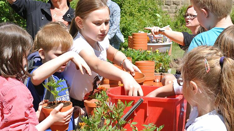 Über 500 Pflanzen wurden von den Kindern umgetopft.