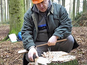 Dass hier ein Baum ordnungsgemäß und sachkundig gefällt wurde, erkennt Peter Tretter anhand des verbliebenen Baumstumpfes ganz genau. Foto: Rainer Lutz