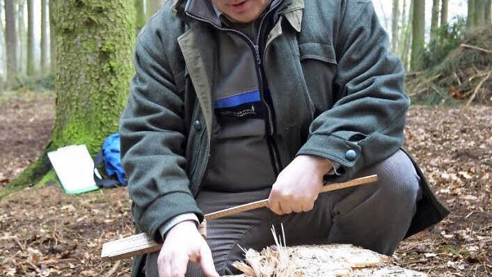 Dass hier ein Baum ordnungsgemäß und sachkundig gefällt wurde, erkennt Peter Tretter anhand des verbliebenen Baumstumpfes ganz genau. Foto: Rainer Lutz