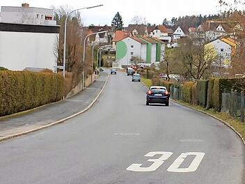 Entlang der Kleingärten am Lauersgraben gilt bis etwa zur Hausnummer 20 eingeschränktes Halteverbot. Früher habe man hier rechts parken können, merkt die Infranken-Melderin an. Foto: Ulrike Nauer