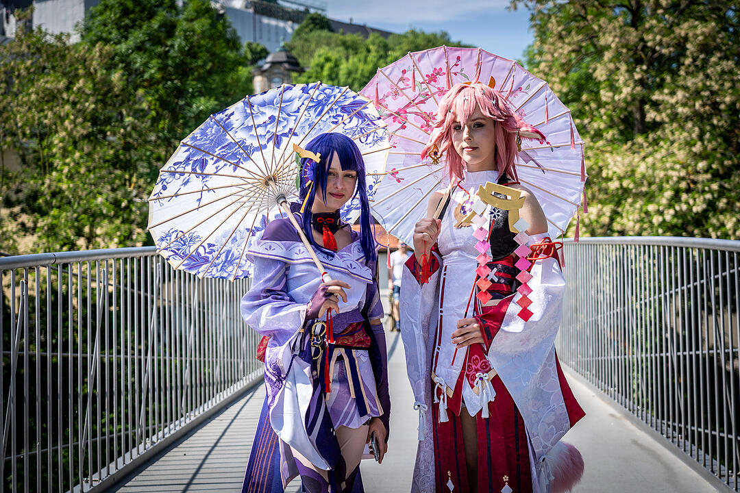 Wunderschöne Cosplays konnten bewundert werden!