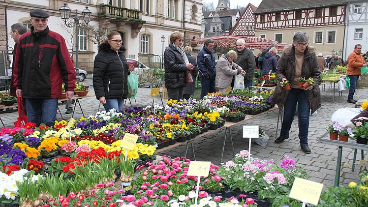 Der Andrang bei den Frühlingsblühern ist groß. Foto: Sonja Adam