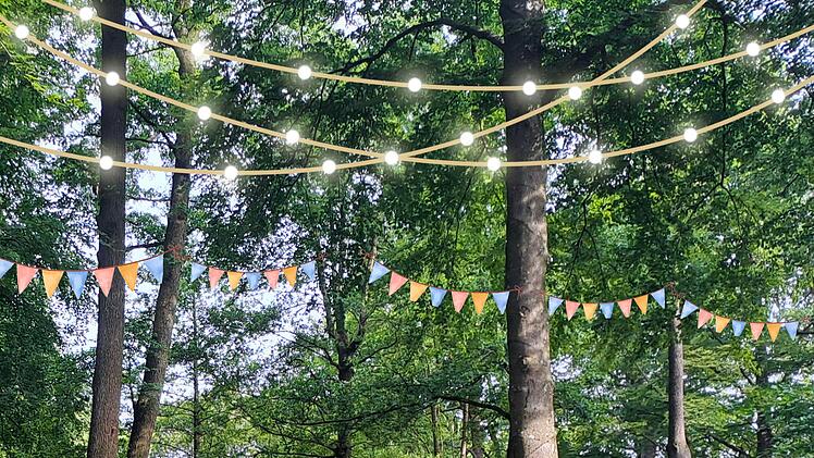 Auch f&uuml;r eine stimmungsvolle Beleuchtung im Stadtpark soll mittels Spenden gesorgt werden.