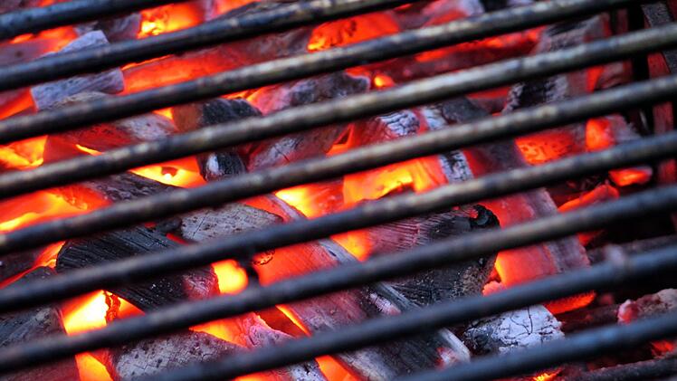 Die Grill-Saison beginnt, doch steckt in Holzkohle wirklich, was wir denken? Symbolfoto: Moerschy/Pixabay