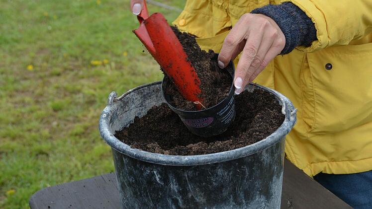 Praxisstunde für Gartenbau im Hausgarten Foto: Dagmar Besand