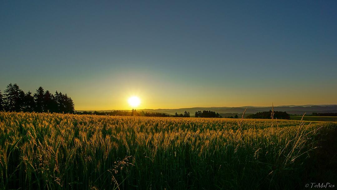 Die schönsten Sommerfotos aus Kronach und Umgebung