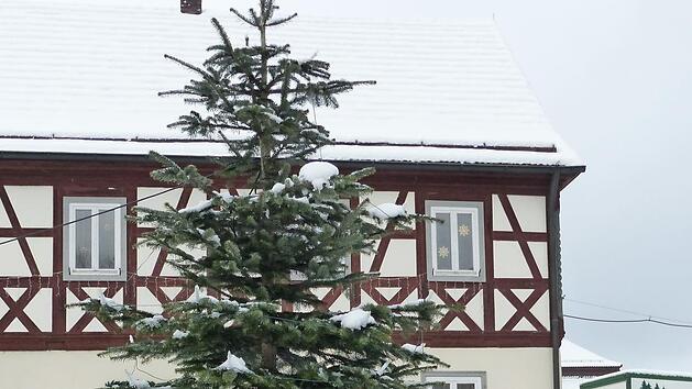 Der Hausmeister der Grundschule Wei&szlig;enbrunn, Wolfgang Hauck, sorgte f&uuml;r ein schonendes Abnehmen der liebevoll von Kindern gebastelten Schmuckanh&auml;nger vom Christbaum.  Foto: K.- H. Hofmann