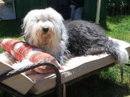 Foto: Sissimuc68