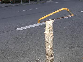 Normalerweise geht es beim Maibaum-Klau ja darum, den Maibaum einer anderen Gemeinde zu klauen. In Bad Bocklet lief liegt der Fall dieses Jahr aber etwas anders. Symbolbild: Jens Fertinger