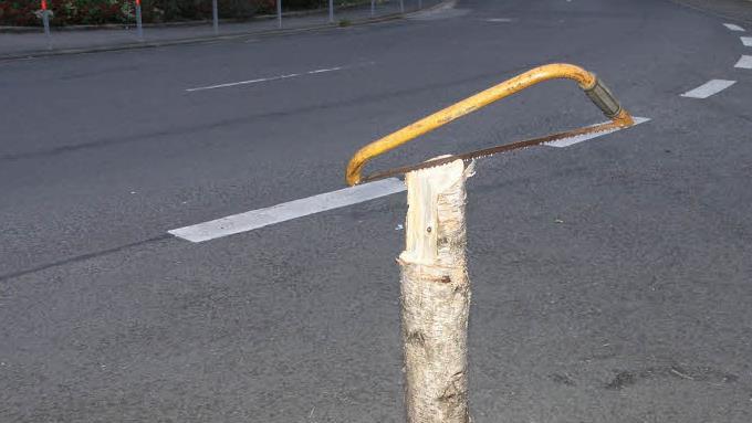 Normalerweise geht es beim Maibaum-Klau ja darum, den Maibaum einer anderen Gemeinde zu klauen. In Bad Bocklet lief liegt der Fall dieses Jahr aber etwas anders. Symbolbild: Jens Fertinger