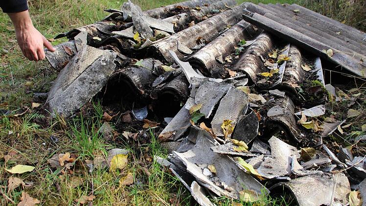 Diese Ladung asbesthaltiger Faserzementplatten fand ein Waldbesitzer in der Flur bei Schwarzenbach.  Foto: Andreas Dorsch