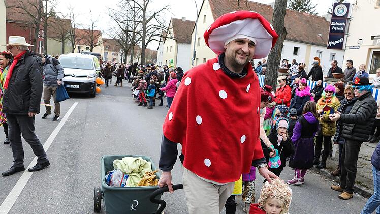 Faschingsumzug in der Bamberger Gartenstadt Foto: Barbara Herbst