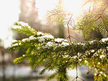 Symbolbild: Sonne im Winter