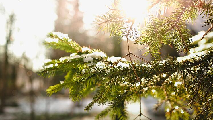 Symbolbild: Sonne im Winter