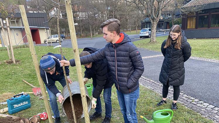 Sch&uuml;lerinnen und Sch&uuml;ler der 11. Klasse des Franz-Miltenberger-Gymnasiums Bad Br&uuml;ckenau pflanzen nach einem Versprechen im Religionsunterricht ein Apfelb&auml;umchen.