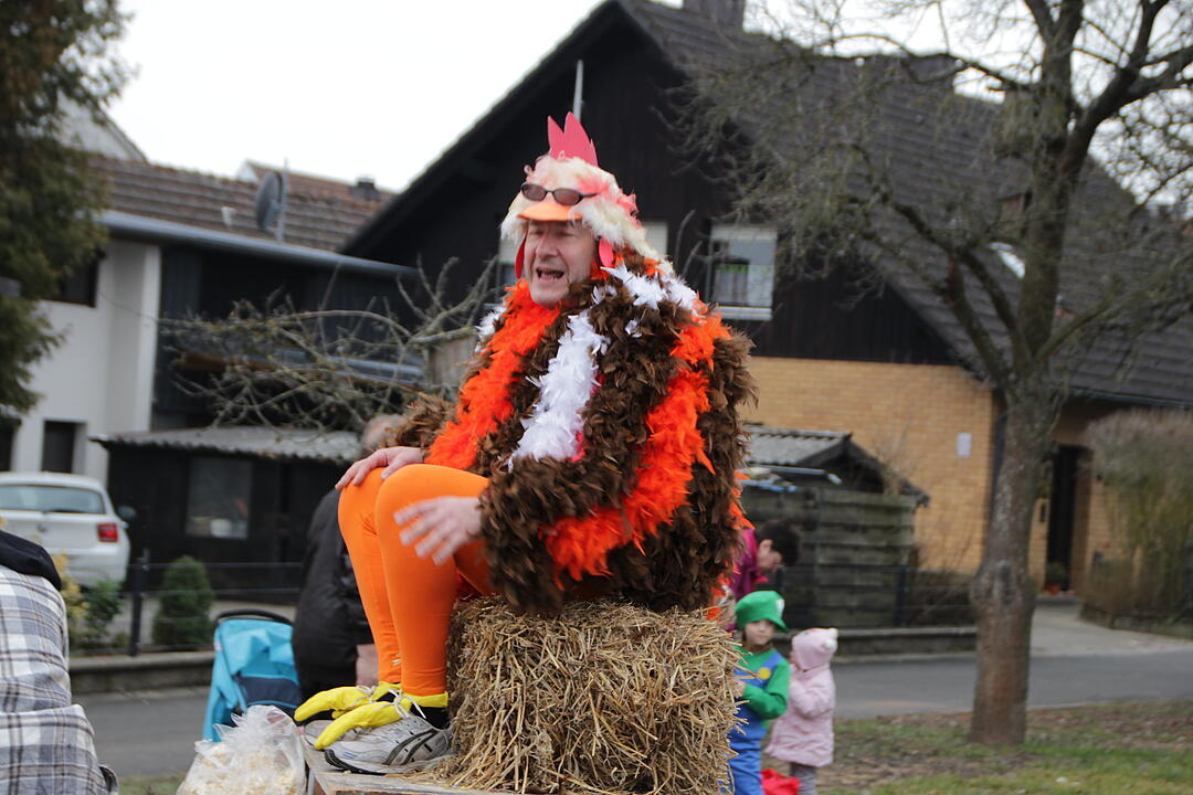 Faschingsumzug in Oberhaid