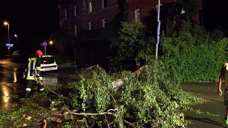 Foto: News5/Grundmann