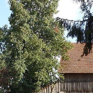 Scheune bei Hitzmain