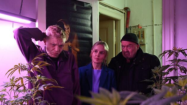 "Ein starkes Team" blickt in fremde Wohnungen: Linett (Stefanie Stappenbeck) und Otto (Florian Martens, rechts) ermitteln im neuen Mordfall unter anderem bei Falk Becker (Leonard Kunz), dem Stiefbruder des Opfers.