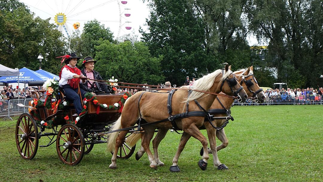 Volksfestzeit in der Oberpfalz