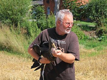 Ulrich Leicht hält den jungen Schwarzstorch, der wieder in die Natur entlassen werden soll. Foto: LBV
