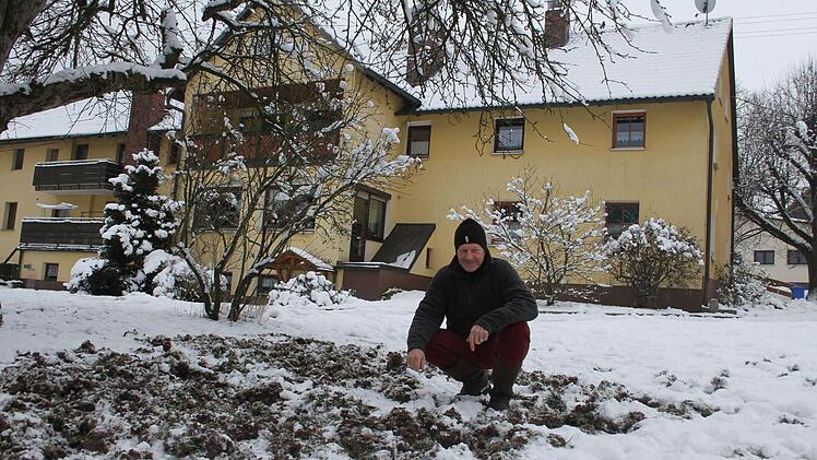 Die Wildschweine kommen im Kessel bis an die Häuser. Sie durchwühlen Wiesen, Felder und Pferdekoppeln, wie Jäger Hans-Dieter Ernst deutlich macht. Doch viel ausrichten kann er nicht. Die Anwohner ärgern sich über die Dreistigkeit der Tiere. Fotos: Sonja Adam