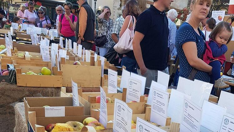 Über 100 Apfelsorten hatte der Bund Naturschutz für das Apfelfest am Oktobermarkt zusammengestellt.  Fotos: Eckehard Kiesewetter