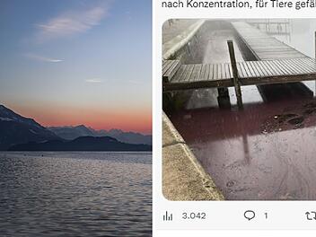 Zug: Schweizer See färbt sich an Weihnachten blutrot - Polizei mit dringendem Hinweis