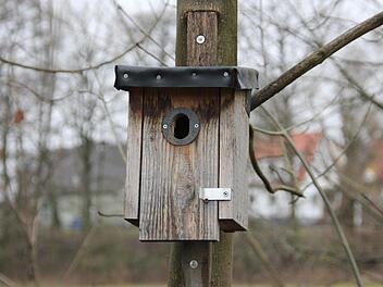 Wo morsche Bäume und Hecken fehlen, hilft ein Nistkasten Vögeln beim Nestbau. Foto: FT-Archiv