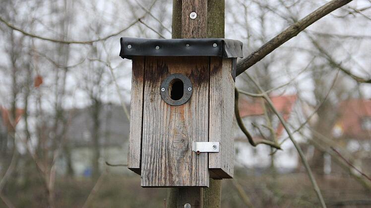 Wo morsche Bäume und Hecken fehlen, hilft ein Nistkasten Vögeln beim Nestbau. Foto: FT-Archiv