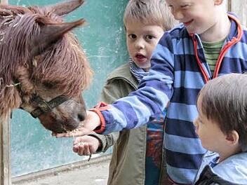Der Eintritt für den Wildpark Hundshaupten wird umsatzsteuerpflichtig.