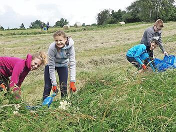 Schüler der Werner-von-Siemens-Realschule Bad Neustadt waren zum Naturschutz-Arbeitseinsatz in der Rhön unterwegs.  Foto: Marion Eckert